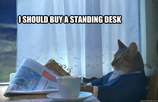 I-should-buy-a-standing-desk