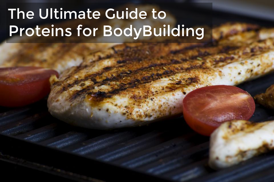 The Ultimate Macros Guide to Proteins